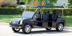 affordable golf cart rental, golf cart rent fleming island