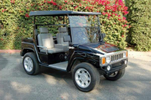 affordable golf cart rental, golf cart rent fleming island